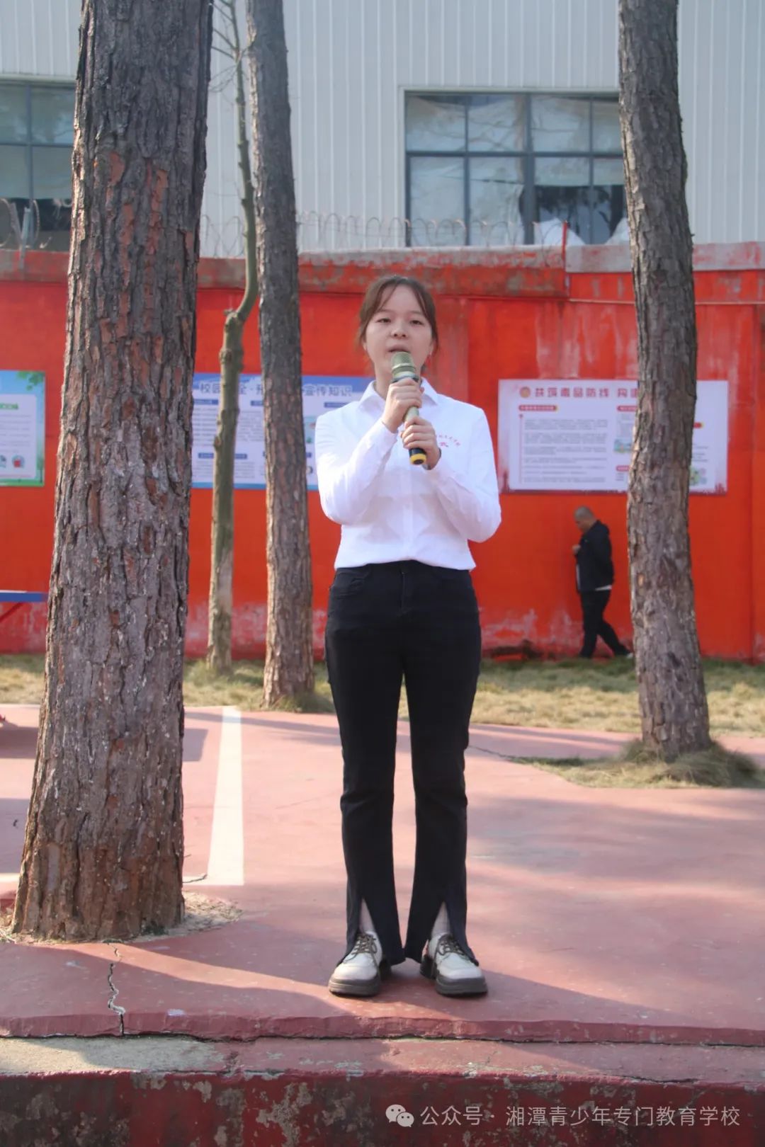 1736241099730120.jpg 1736241099730120.jpg