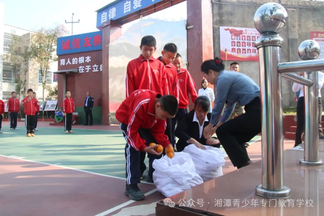 1736241370601283.jpg 1736241370601283.jpg