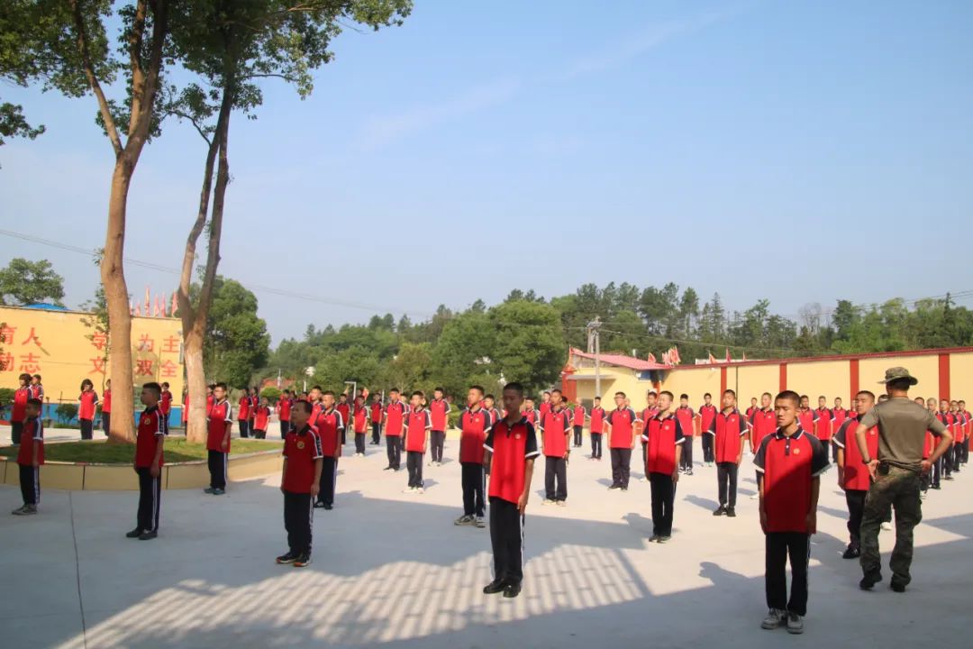 1751447012133101.jpeg image2.jpeg