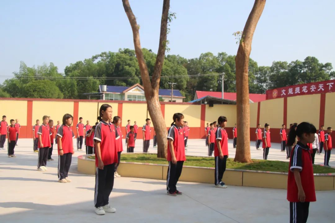 1751447247116792.jpeg image8.jpeg